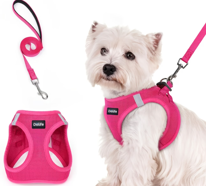 Elite Dog Harness & Leash Set – Breathable, Escape-Proof & Reflective for Small Dogs
