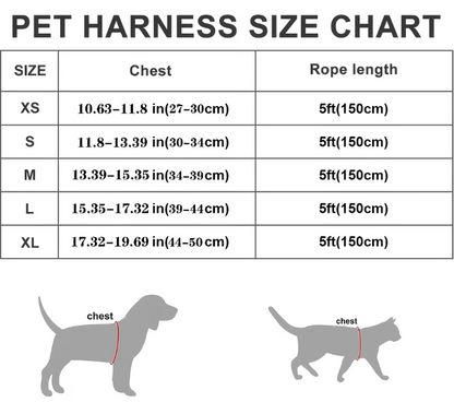 Elite Dog Harness & Leash Set – Breathable, Escape-Proof & Reflective for Small Dogs