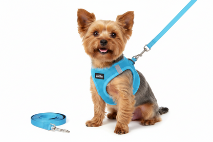 Elite Dog Harness & Leash Set – Breathable, Escape-Proof & Reflective for Small Dogs
