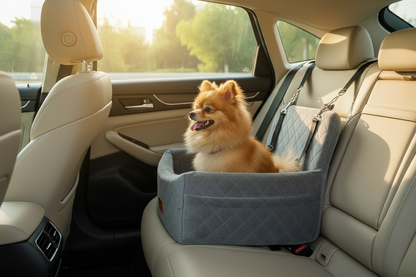 Dog sitting in car seat booster
