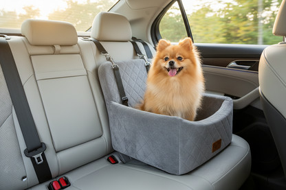 Dog sitting in car seat