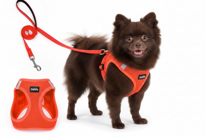 Elite Dog Harness & Leash Set – Breathable, Escape-Proof & Reflective for Small Dogs